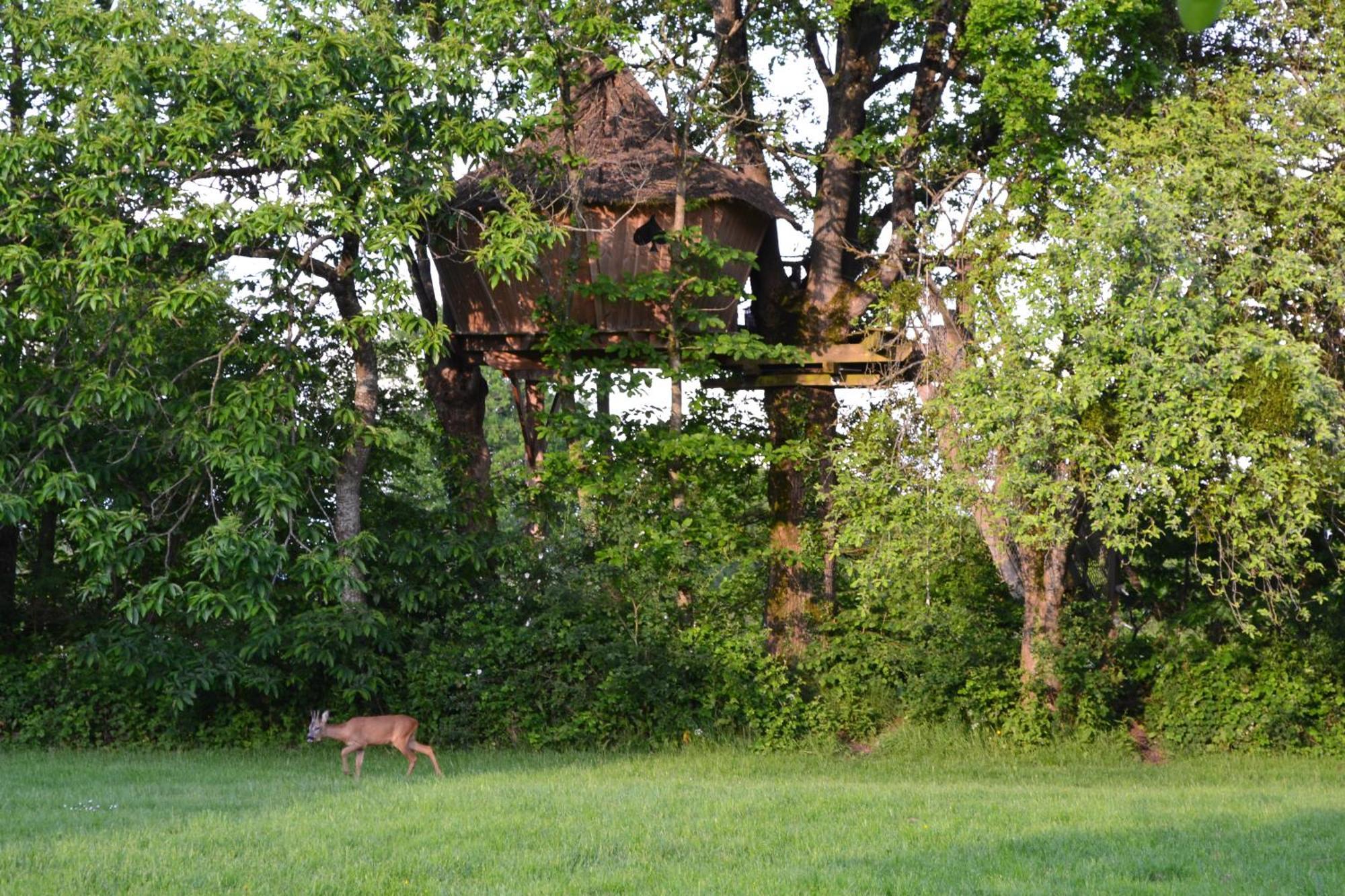 Domaine Des Vaulx - Locations De Cabanes Insolites La Baconniere 외부 사진